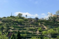 英联赛杯：利物浦与南安普敦 赛前全方位剖析及比分预测